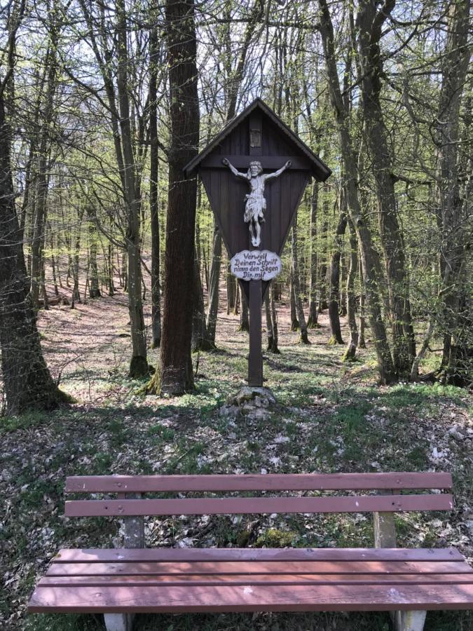 Pension-Ferienwohnung Liesbachtal Direkt Am Waldrand Bayerische Rhoen Schönau an der Brend Dış mekan fotoğraf