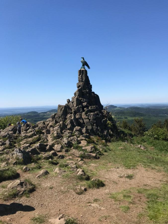 Pension-Ferienwohnung Liesbachtal Direkt Am Waldrand Bayerische Rhoen Schönau an der Brend Dış mekan fotoğraf
