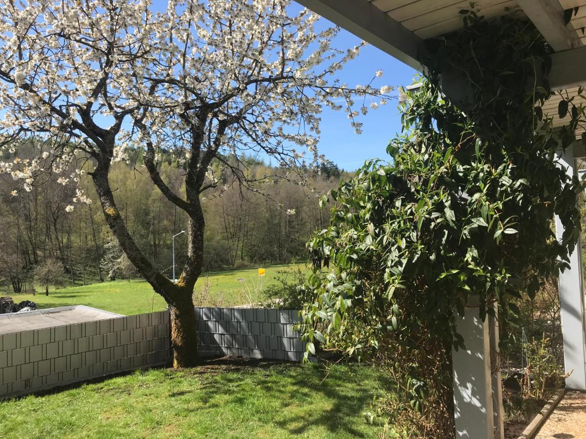 Pension-Ferienwohnung Liesbachtal Direkt Am Waldrand Bayerische Rhoen Schönau an der Brend Dış mekan fotoğraf