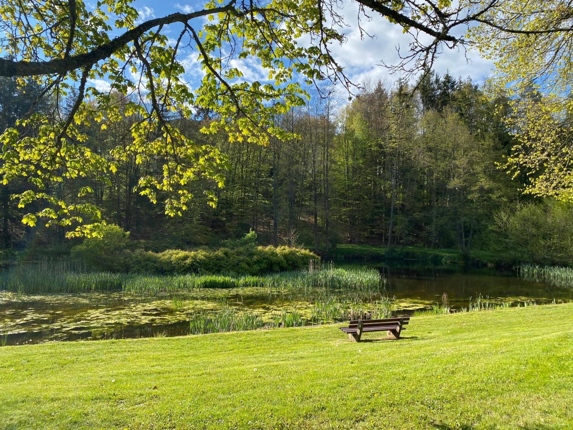 Pension-Ferienwohnung Liesbachtal Direkt Am Waldrand Bayerische Rhoen Schönau an der Brend Dış mekan fotoğraf