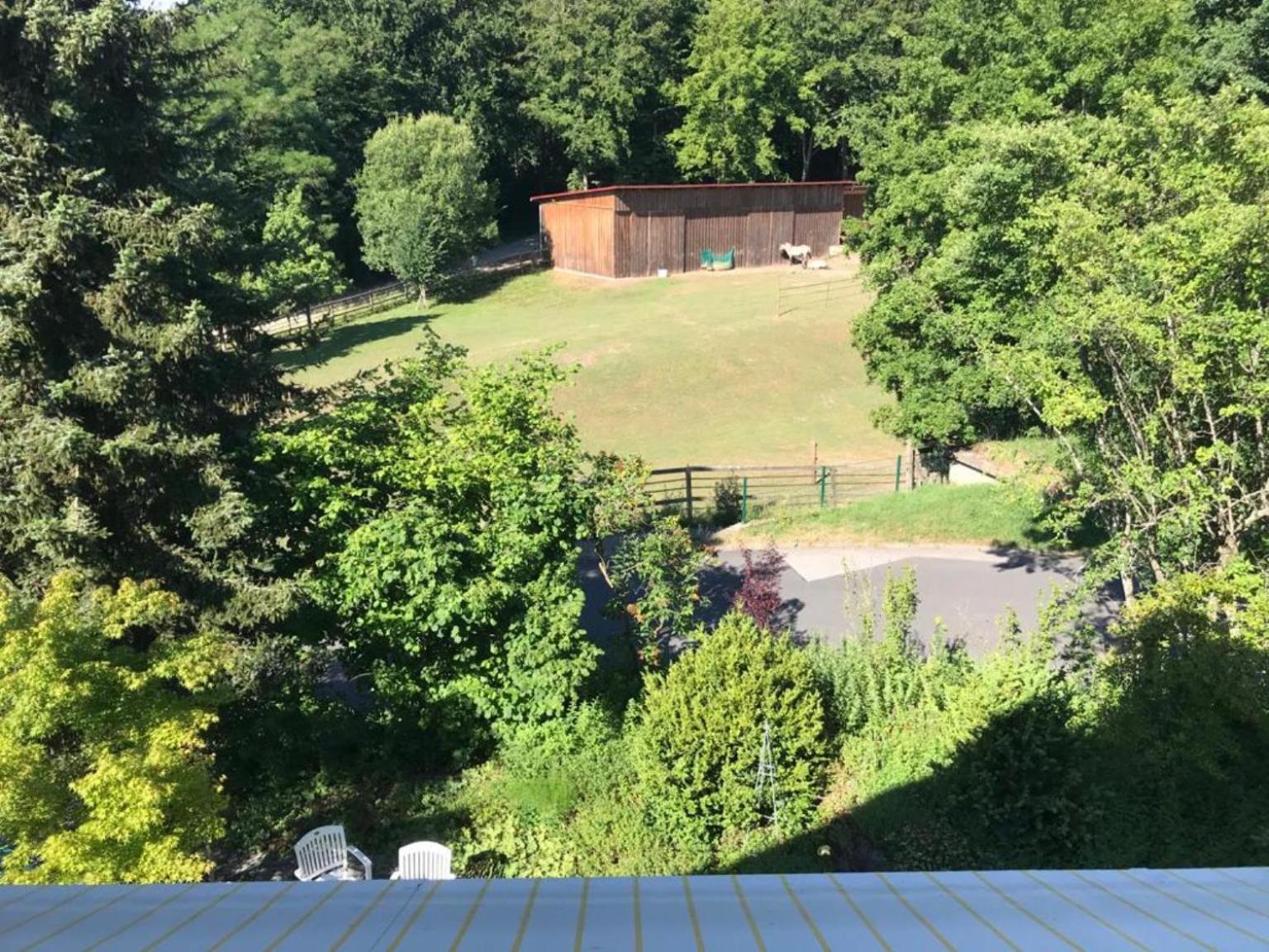 Pension-Ferienwohnung Liesbachtal Direkt Am Waldrand Bayerische Rhoen Schönau an der Brend Oda fotoğraf