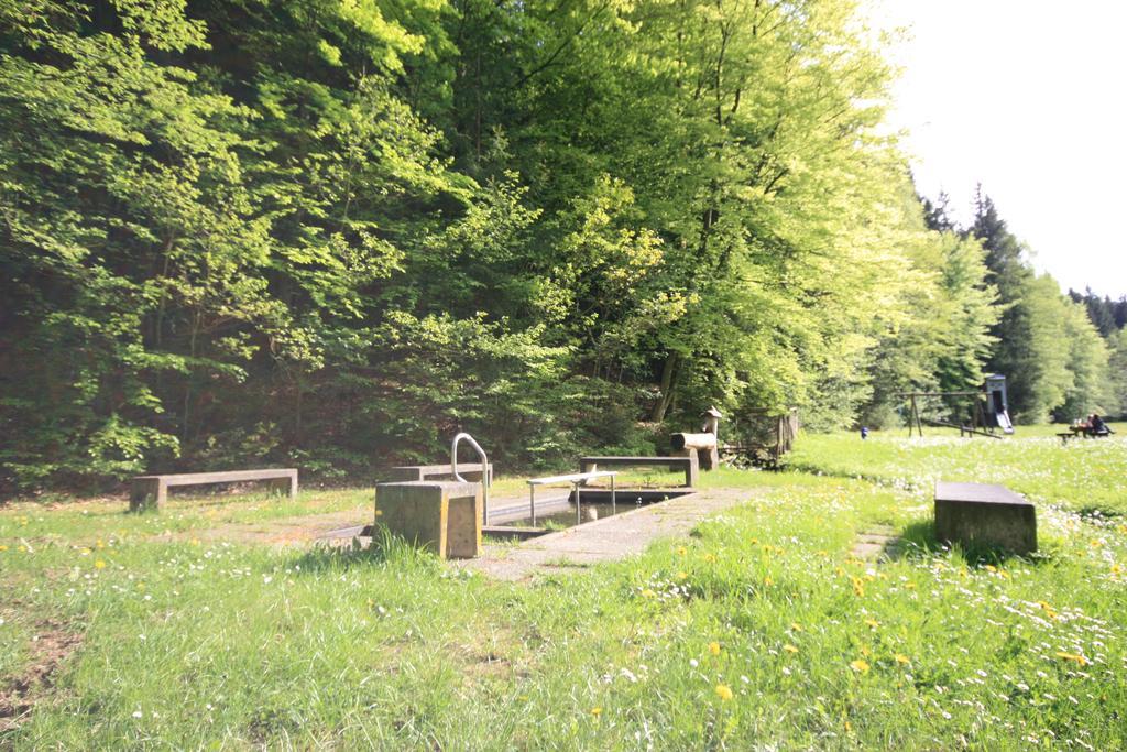 Pension-Ferienwohnung Liesbachtal Direkt Am Waldrand Bayerische Rhoen Schönau an der Brend Dış mekan fotoğraf