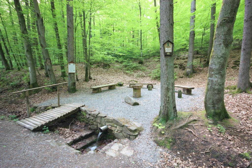 Pension-Ferienwohnung Liesbachtal Direkt Am Waldrand Bayerische Rhoen Schönau an der Brend Dış mekan fotoğraf