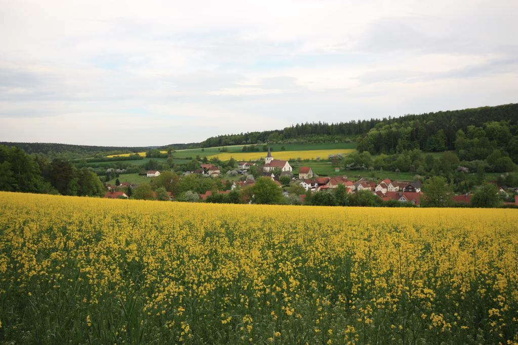 Pension-Ferienwohnung Liesbachtal Direkt Am Waldrand Bayerische Rhoen Schönau an der Brend Dış mekan fotoğraf